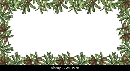 Il bordo è un modello di rami di argan con noci. Cornice ad acquerello per un'etichetta dell'olio con dadi e foglie verdi. Disegno a mano libera senza interruzioni. Foto Stock