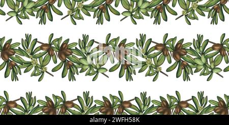 Il modello è un modello di rami di un albero di argan con noci. Motivo acquerello per tessuti, carta da parati, carta da rivestimento, web.design. Senza interruzioni Foto Stock