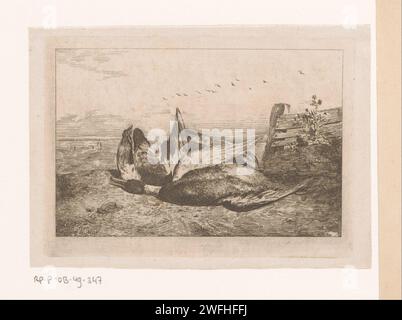 Tre uccelli morti nel paesaggio, David Emile Joseph de Noter, 1828 - 1879 carta stampata per incidere uccelli acquatici. paesaggi Foto Stock