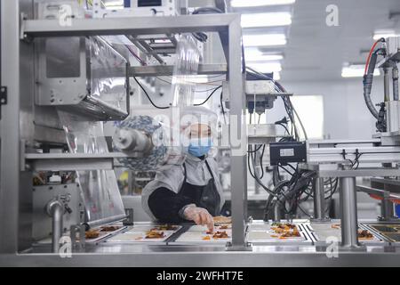 (240131) -- WUHAN, 31 gennaio 2024 (Xinhua) -- Un membro del personale confeziona pasti al sacco presso una base di catering ferroviaria a Wuhan, nella provincia di Hubei della Cina centrale, 30 gennaio 2024. Dotata di una moderna linea di produzione di pasti al sacco, la base di catering ferroviaria si è occupata di fornire pasti al sacco per i treni ad alta velocità sotto la gestione della China Railway Wuhan Bureau Group Co., Ltd Durante la corsa di quest'anno al Festival di primavera, iniziata il 26 gennaio, la China Railway Wuhan Bureau Group Co., Ltd. Ha lanciato quattro nuovi piatti con sapori locali di Wuhan. I pasti al sacco con prelibatezze locali saranno Foto Stock