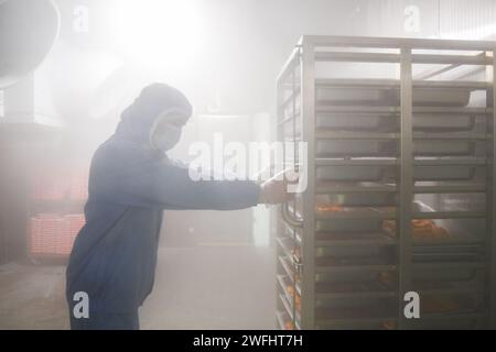 (240131) -- WUHAN, 31 gennaio 2024 (Xinhua) -- Un membro del personale mette i piatti in frigo per la custodia temporanea in una base di catering ferroviario a Wuhan, nella provincia di Hubei, nella Cina centrale, 30 gennaio 2024. Dotata di una moderna linea di produzione di pasti al sacco, la base di catering ferroviaria si è occupata di fornire pasti al sacco per i treni ad alta velocità sotto la gestione della China Railway Wuhan Bureau Group Co., Ltd Durante la corsa di quest'anno al Festival di primavera, iniziata il 26 gennaio, la China Railway Wuhan Bureau Group Co., Ltd. Ha lanciato quattro nuovi piatti con sapori locali di Wuhan. I pasti al sacco W Foto Stock