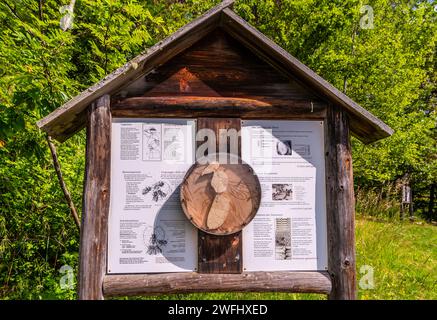 Cartello con informazioni sulle api nel percorso del Museo delle api, località Costalovara, comune di Renon, Trentino alto Adige, alto Adige, nord Italia Foto Stock