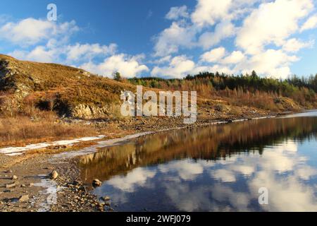 Galloway Forest Park - Scozia Foto Stock