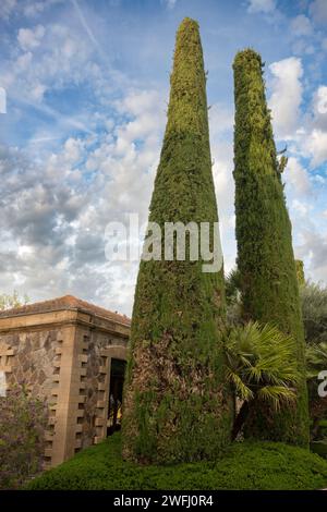 Paesaggio a tenuta Sella e Mosca, Alghero, Sardegna, Italia Foto Stock