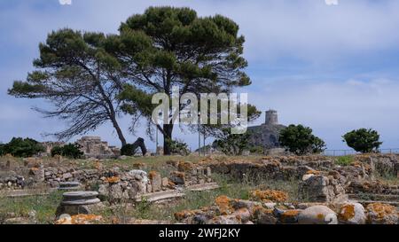 Rovine archeologiche di Nora, antica città pre-romana su una penisola nei pressi di Pola, Sardegna, Italia Foto Stock