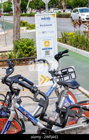 Merida Mexico,zona Paseo Montejo Centro,EN BICI Muevete por Merida,sistema di condivisione biciclette,cartelli segnaletici,promozione pubblicità promozionale, Foto Stock