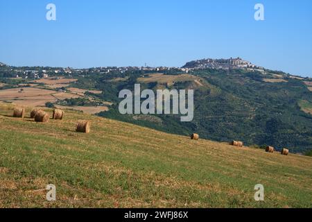 Paesaggio di campagna nei pressi di Oppido Lucano e Acerenza, in provincia di potenza, Basilicata, Italia Foto Stock