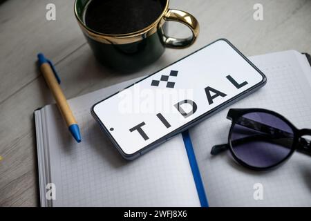Polonia. 31 gennaio 2024. In questa immagine è riportato un logo Tidal visualizzato su uno smartphone. (Foto di Mateusz Slodkowski/SOPA Images/Sipa USA) **** esclusivamente a scopo editoriale *** credito: SIPA USA/Alamy Live News Foto Stock
