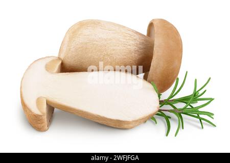 Fungo porcini fresco isolato su fondo bianco con piena profondità di campo Foto Stock