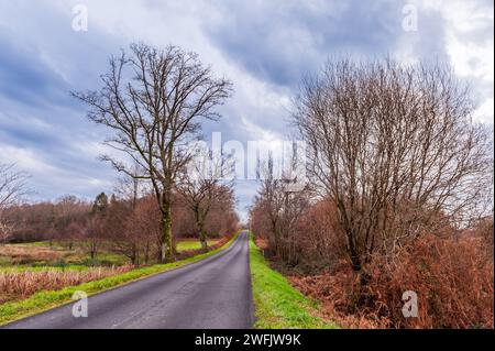 Strada deserta nel bel mezzo dell'inverno a Limousin in alta Vienne Foto Stock