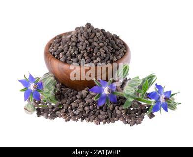 Semi di borragine con fiori in ciotola di legno, isolati su sfondo bianco. Borago officinalis semi e fiori. Foto Stock