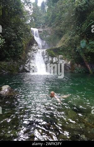 Lady che nuota in piscina presso le incredibili cascate, il Pico Bonito National Park, l'Honduras, l'America centrale Foto Stock