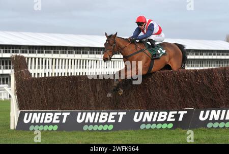 Gara 3 1,15 The Paddy Power Cheltenham Countdown Podcast handicap Chase (Class 1 Premier handicap) Champagne Mystery guidato da Nicolas Gauffenic jum Foto Stock