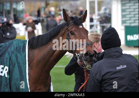 Gara 3 1,15 il podcast Paddy Power Cheltenham Countdown handicap Chase (Class 1 Premier handicap) vincitore della gara GA Law corse di cavalli a Cheltenham Foto Stock