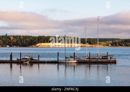 Il sole in tarda serata illumina le lontane scogliere sopra Penn Cove, dove le barche a vela sono ormeggiate al Coupeville Wharf a Whidbey Island, Washington. Foto Stock