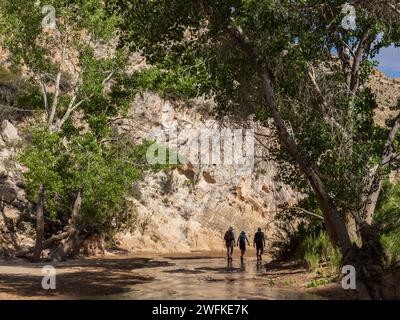 Gli escursionisti possono fare escursioni a piedi all'Hackberry Canyon, al Grand Staircase-Escalante National Monument, Cannonville, Utah. Foto Stock