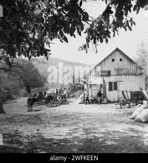 Contea di Vrancea, Repubblica Socialista di Romania, ca. 1977. I contadini che aspettano fuori da un mulino per il loro turno di far macinare i cereali. Foto Stock