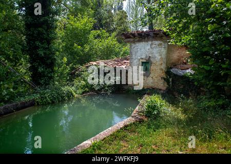 Desfiladero del rio Purón, Canyon del fiume Puron nel Parco naturale Valderejo. Alava. Paesi baschi. Spagna Foto Stock