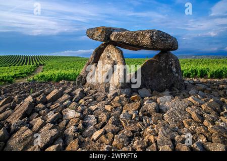 Sorgiñaren Txabola, Chabola de la Hechicera dolmen neolitico, Elvillar, Alava, araba Basque Country, Euskadi Spain. Nei diversi scavi di campa Foto Stock