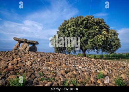 Sorgiñaren Txabola, Chabola de la Hechicera dolmen neolitico, Elvillar, Alava, araba Basque Country, Euskadi Spain. Nei diversi scavi di campa Foto Stock