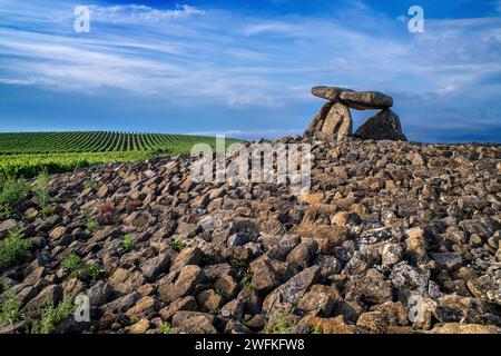 Sorgiñaren Txabola, Chabola de la Hechicera dolmen neolitico, Elvillar, Alava, araba Basque Country, Euskadi Spain. Nei diversi scavi di campa Foto Stock