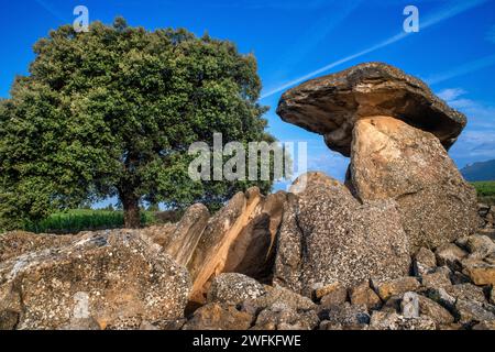 Sorgiñaren Txabola, Chabola de la Hechicera dolmen neolitico, Elvillar, Alava, araba Basque Country, Euskadi Spain. Nei diversi scavi di campa Foto Stock