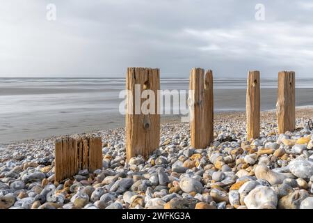 Vecchi pali intemprati in piedi fieri tra i ciottoli sulla costa della splendida spiaggia di West Wittering Foto Stock