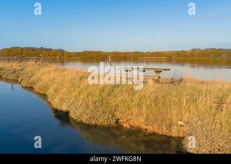 Una panchina di legno preferita che offre un posto dove riposare, ben posizionato nella storica Birdham Pool Marina che si affaccia sul porto di Chichester durante l'alta marea. Foto Stock