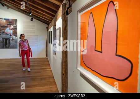 Mostra di Phyllida Barlow all'interno del Museo Chillida-Leku, sculture nei giardini e nelle foreste dello scultore basco Eduardo Chillida, Hernani, Guipuz Foto Stock