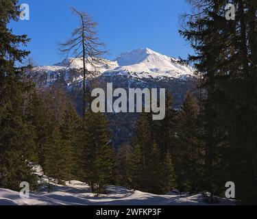 Impressioni dal tirolo in inverno. cime innevate nelle alpi austriache. Foto Stock