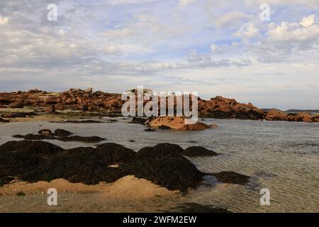 L'isola di Renote è un'isola appartenente al comune francese di Trégastel, nel dipartimento di Côtes-d'Armor, Bretagna. Foto Stock