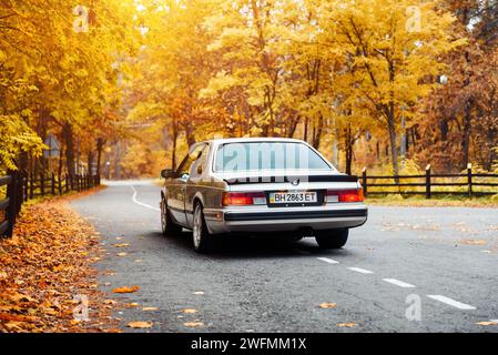 BMW serie 6 E24 coupé classica argento. Vista posteriore della BMW 1980-S "affilata" con bordi affilati in un giorno d'autunno dorato in una foresta Foto Stock