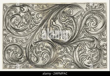 Motivo foglio, Israhel van Meckenem, dopo Master E.S., 1455 - 1503 stampa decorazione piatta. Bocholt (Germania) piante da incisione su carta; vegetazione (+ varianti ornamentali di piante) Foto Stock