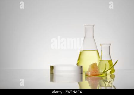 Olio essenziale estratto dal pomelo rosa (Citrus maxima) contenuto in matracci di erlenmeyer con fetta di pomelo rosa e sbucciato su piastra di Petri. Podiu vuoto Foto Stock