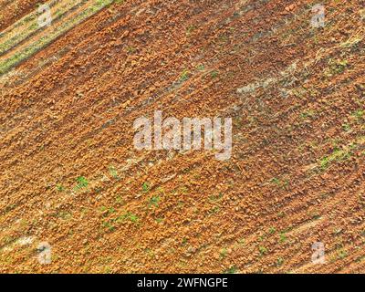 Vista aerea del campo arato agricolo. Lavorazione minima per terreni più sani. Terreno fertile in azienda agricola biologica. Conservazione del suolo. Sostenerlo Foto Stock