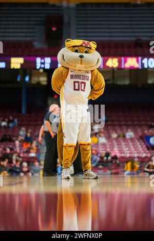 Minneapolis, Minnesota, USA. 31 gennaio 2024. La mascotte dei Minnesota Golden Gophers Goldie Gopher nel secondo tempo di una partita di pallacanestro femminile NCAA tra l'Università del Minnesota e la Penn State il 31 gennaio 2024 alla Williams Arena di Minneapolis, Minnesota. Penn State ha vinto 80-64. (Immagine di credito: © Steven Garcia/ZUMA Press Wire) SOLO USO EDITORIALE! Non per USO commerciale! Foto Stock