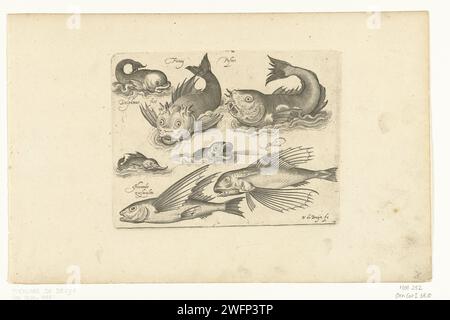 Fantastici animali acquatici, tra cui delfini e Pitvis, stampe da 1581 a 1656 fantastici animali acquatici, iscrizioni in latino e olandese, tra le altre cose, identificano un delfino e un pitfish. Incisione di carta olandese animali favolosi  pesci Foto Stock