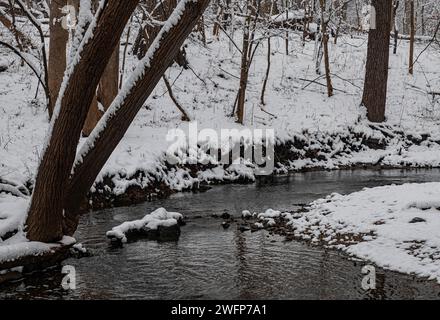 Un'ansa nel letto del torrente Hammel Creek è ricoperta di neve fresca, Hammel Woods Forest Preserve, Will County, Illinois Foto Stock
