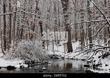 Un'ansa nel letto del torrente Hammel Creek è ricoperta di neve fresca, Hammel Woods Forest Preserve, Will County, Illinois Foto Stock