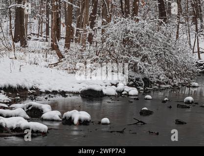 Hammel Woods e Hammel Creek sono ricoperti di neve fresca, Hammel Woods Forest Preserve, Will County, Illinois Foto Stock