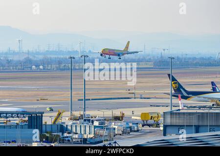 schwechat, austria, 30 gennaio 2024, Airbus A300 - MSN 837 D-AEAB operato da dhl che atterra all'aeroporto internazionale di vienna *** schwechat, Österreich, 30. januar 2024, Airbus A300 MSN 837 D AEAB gestito da dhl bei der Landung auf dem internationalen Flughafen wien Copyright: xx Foto Stock