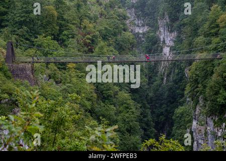 pasarela d’Holtzarte, gargantas de Holzarté, Larrau, región de Aquitania, departamento de Pirineos Atlánticos, Francia Foto Stock