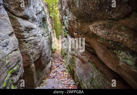 The Rock Garden presso il Worlds End State Park, parco statale in Pennsylvania, Stati Uniti Foto Stock