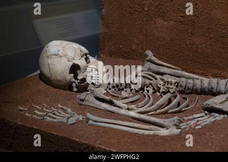 Polatlı, Ankara - 24 dicembre 2023: Uno scheletro di uomo reale giacente a terra Foto Stock
