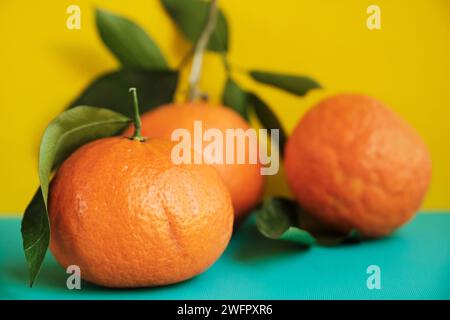 Mandarino fresco arance frutta o mandarini con foglie Foto Stock