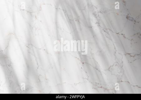 Sole, ombre degli alberi, sfondi di varie texture. Foto Stock