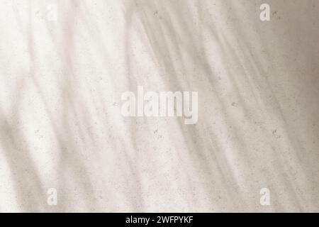 Sole, ombre degli alberi, sfondi di varie texture. Foto Stock