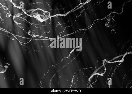 Sole, ombre degli alberi, sfondi di varie texture. Foto Stock