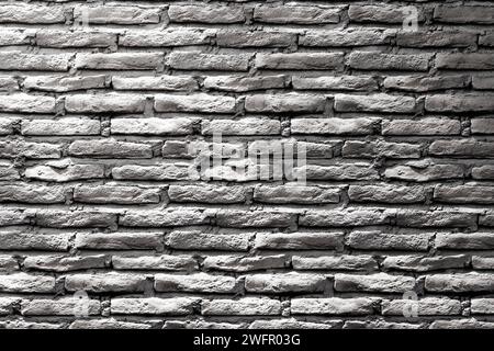 Sole, ombre degli alberi, sfondi di varie texture. Foto Stock