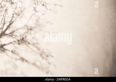 Sole, ombre degli alberi, sfondi di varie texture. Foto Stock